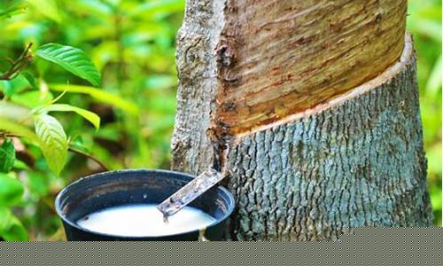 期货椽胶1709(期货的橡胶是什么胶)_https://www.qgjzrcxxzxpt.com_上期能源_第1张