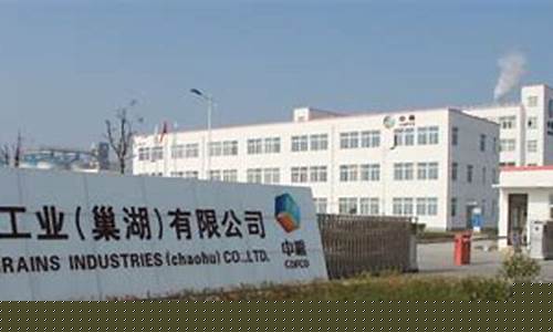 巢湖期货公司(安徽期货公司)_https://www.qgjzrcxxzxpt.com_大商所_第1张