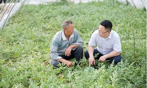 农民期货专家(农民期货大王)_https://www.qgjzrcxxzxpt.com_郑商所_第1张