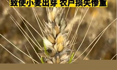 2023年最严重破发新股(2023年最严重破发新股有哪些)_https://www.qgjzrcxxzxpt.com_大商所_第1张
