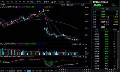 鸡蛋期货行情走势图片(鸡蛋期货行情走势图片高清)_https://www.qgjzrcxxzxpt.com_郑商所_第1张
