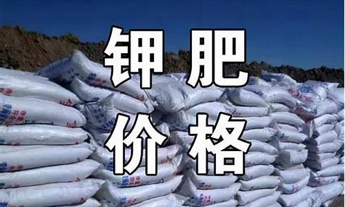 钾肥期货今日行情最新价格(钾肥价格行情走势今天)_https://www.qgjzrcxxzxpt.com_郑商所_第1张