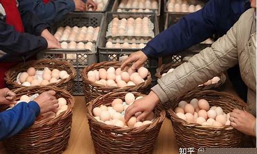 馆陶鸡蛋期货行情最新消息(河北馆陶鸡蛋价格今日价格)_https://www.qgjzrcxxzxpt.com_上期所_第1张