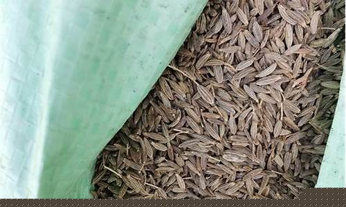 进口孜然期货行情(今日进口孜然行情)_广期所_第1张_财经网 进口孜然期货行情(今日进口孜然行情)_https://www.qgjzrcxxzxpt.com_广期所_第1张