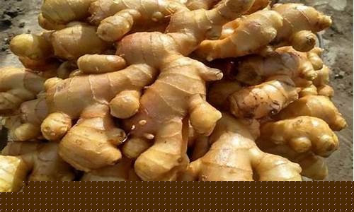 生姜实物期货行情(生姜期货行情走势)_广期所_第1张_财经网 生姜实物期货行情(生姜期货行情走势)_https://www.qgjzrcxxzxpt.com_广期所_第1张