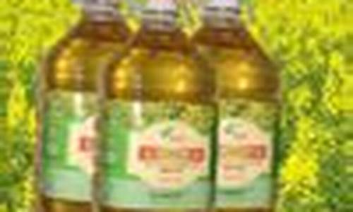 菜油2305期货最新行情操作(菜油2201期货)_https://www.qgjzrcxxzxpt.com_大商所_第1张