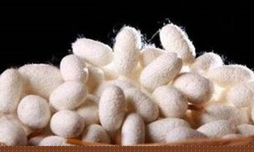 蚕丝有期货行情吗_https://www.qgjzrcxxzxpt.com_上期所_第1张