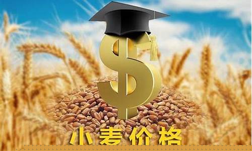 今日小麦期货价格行情大幅上涨(国内小麦期货今日价格)_https://www.qgjzrcxxzxpt.com_上期所_第1张