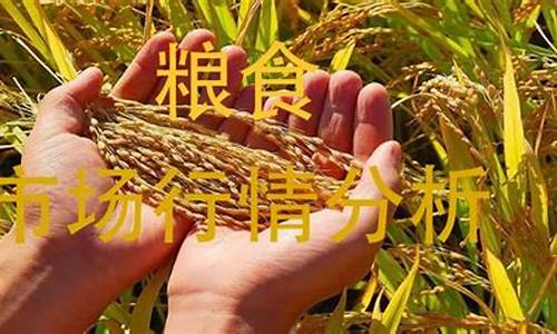 粮食贸易期货行情分析(粮食期货最新价格走势图)_https://www.qgjzrcxxzxpt.com_大商所_第1张