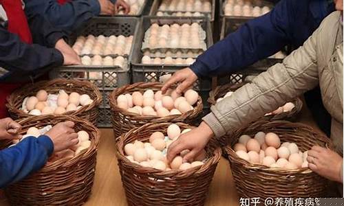 馆陶鸡蛋期货行情今日最新(馆陶鸡蛋期货行情今日最新价格)_https://www.qgjzrcxxzxpt.com_郑商所_第1张
