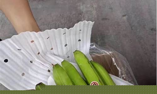 越南香蕉期货价格行情(越南香焦价格)_https://www.qgjzrcxxzxpt.com_大商所_第1张
