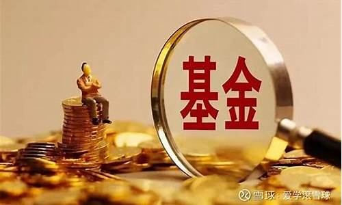 什么是基金(个账支付)_https://www.qgjzrcxxzxpt.com_上期所_第1张
