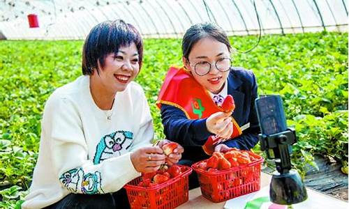 草莓财经直播间(草莓看财经)_https://www.qgjzrcxxzxpt.com_上期所_第1张