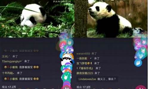 财经直播间熊猫(熊猫直播是什么平台)_https://www.qgjzrcxxzxpt.com_上期所_第1张