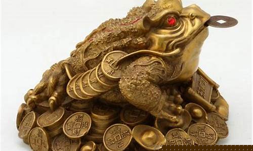 金蟾期货直播室(金蟾期货直播室在线观看)_https://www.qgjzrcxxzxpt.com_上期所_第1张