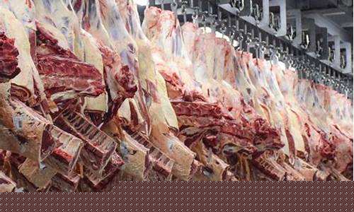 牛肉期货直播平台推荐哪个(牛肉期货直播平台推荐哪个品牌)_上期所_第1张_财经网 牛肉期货直播平台推荐哪个(牛肉期货直播平台推荐哪个品牌)_https://www.qgjzrcxxzxpt.com_上期所_第1张