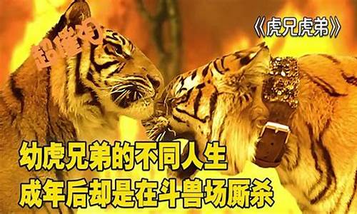 虎兄财经直播(虎兄财经直播间)_上期所_第1张_财经网 虎兄财经直播(虎兄财经直播间)_https://www.qgjzrcxxzxpt.com_上期所_第1张