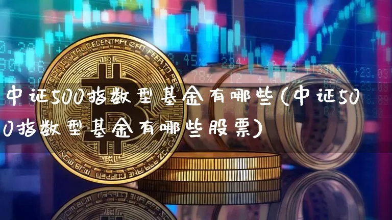 中证500指数型基金有哪些(中证500指数型基金有哪些股票)_https://www.qgjzrcxxzxpt.com_上期能源_第1张