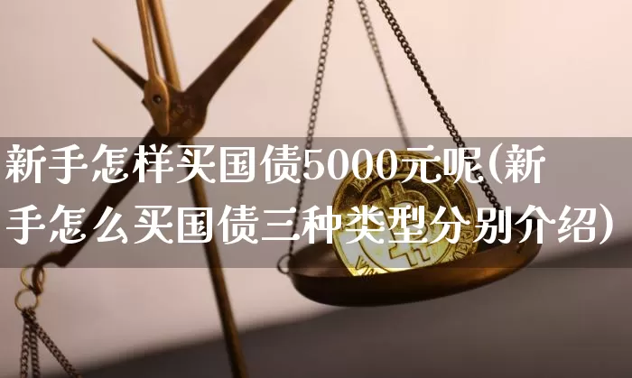 新手怎样买国债5000元呢(新手怎么买国债三种类型分别介绍)_https://www.qgjzrcxxzxpt.com_广期所_第1张