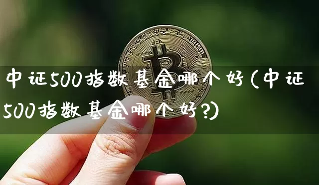 中证500指数基金哪个好(中证500指数基金哪个好?)_https://www.qgjzrcxxzxpt.com_广期所_第1张