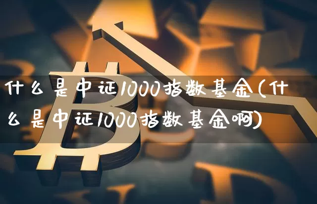 什么是中证1000指数基金(什么是中证1000指数基金啊)_https://www.qgjzrcxxzxpt.com_郑商所_第1张