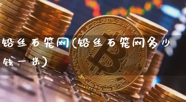 铅丝石笼网(铅丝石笼网多少钱一米)_https://www.qgjzrcxxzxpt.com_大商所_第1张