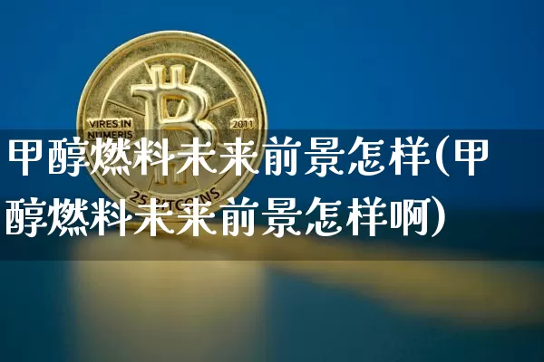 甲醇燃料未来前景怎样(甲醇燃料未来前景怎样啊)_https://www.qgjzrcxxzxpt.com_大商所_第1张