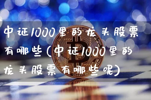 中证1000里的龙头股票有哪些(中证1000里的龙头股票有哪些呢)_https://www.qgjzrcxxzxpt.com_郑商所_第1张