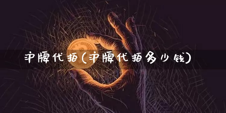 沪牌代拍(沪牌代拍多少钱)_https://www.qgjzrcxxzxpt.com_广期所_第1张