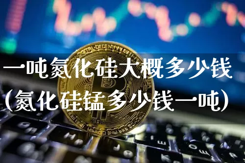 一吨氮化硅大概多少钱(氮化硅锰多少钱一吨)_https://www.qgjzrcxxzxpt.com_广期所_第1张