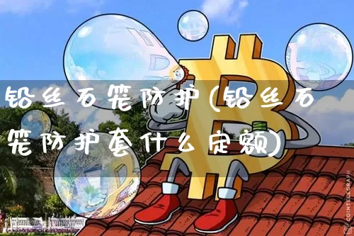 铅丝石笼防护(铅丝石笼防护套什么定额)_https://www.qgjzrcxxzxpt.com_大商所_第1张