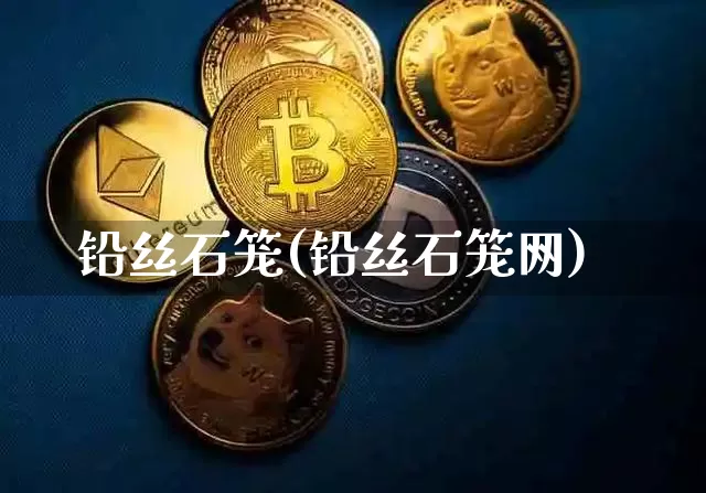 铅丝石笼(铅丝石笼网)_https://www.qgjzrcxxzxpt.com_上期能源_第1张