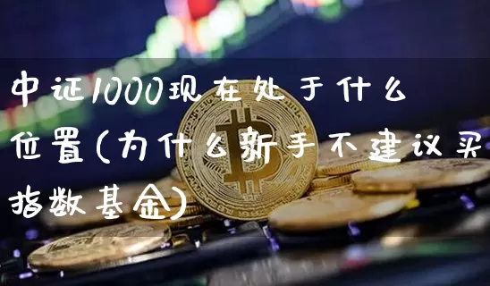 中证1000现在处于什么位置(为什么新手不建议买指数基金)_https://www.qgjzrcxxzxpt.com_大商所_第1张