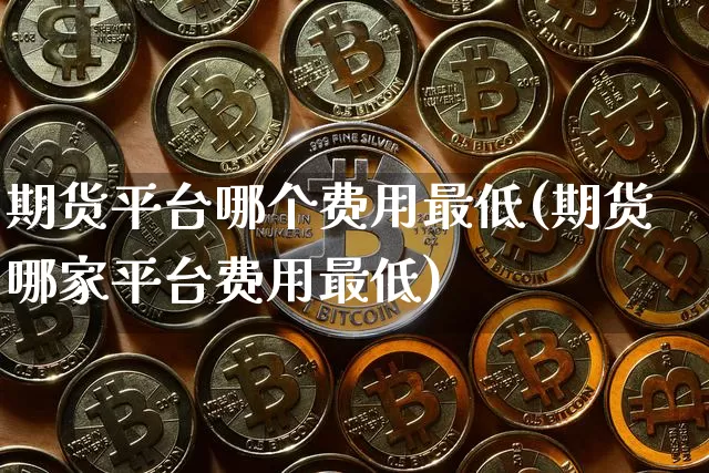 期货平台哪个费用最低(期货哪家平台费用最低)_https://www.qgjzrcxxzxpt.com_上期能源_第1张
