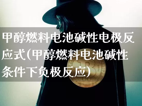 甲醇燃料电池碱性电极反应式(甲醇燃料电池碱性条件下负极反应)_https://www.qgjzrcxxzxpt.com_广期所_第1张