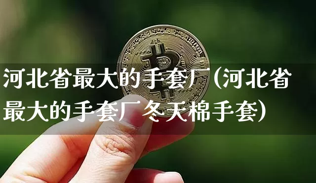 河北省最大的手套厂(河北省最大的手套厂冬天棉手套)_https://www.qgjzrcxxzxpt.com_上期能源_第1张