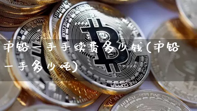 沪铅一手手续费多少钱(沪铅一手多少吨)_https://www.qgjzrcxxzxpt.com_大商所_第1张