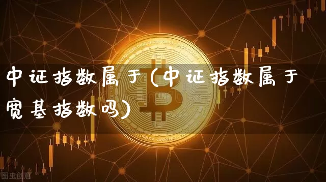 中证指数属于(中证指数属于宽基指数吗)_https://www.qgjzrcxxzxpt.com_广期所_第1张