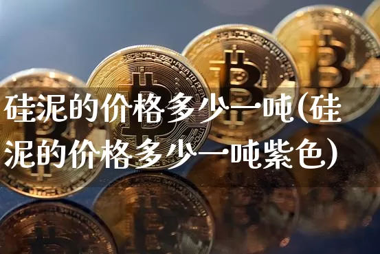 硅泥的价格多少一吨(硅泥的价格多少一吨紫色)_https://www.qgjzrcxxzxpt.com_大商所_第1张