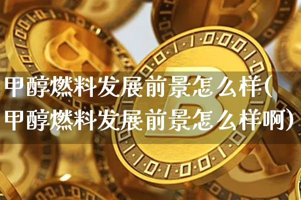 甲醇燃料发展前景怎么样(甲醇燃料发展前景怎么样啊)_https://www.qgjzrcxxzxpt.com_大商所_第1张