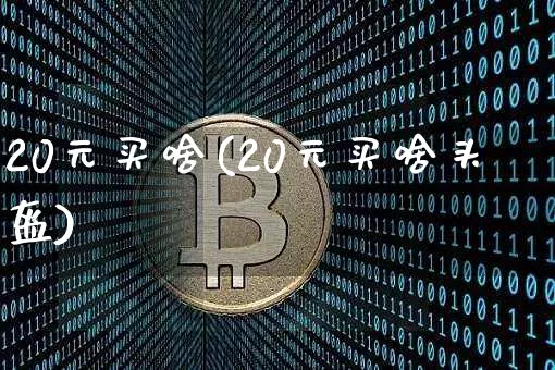 20元买啥(20元买啥头盔)_https://www.qgjzrcxxzxpt.com_广期所_第1张
