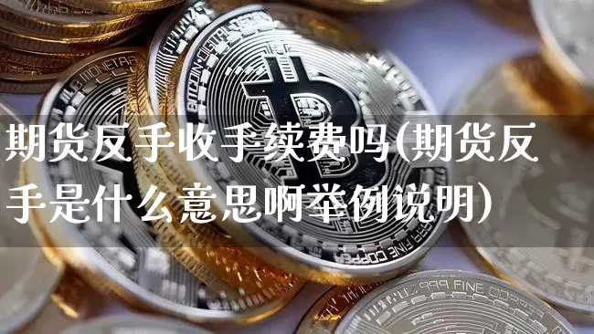 期货反手收手续费吗(期货反手是什么意思啊举例说明)_https://www.qgjzrcxxzxpt.com_上期能源_第1张