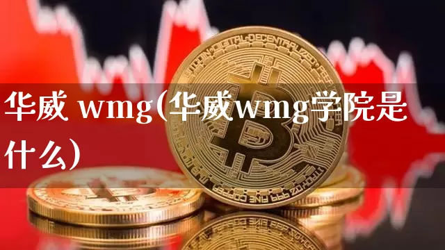 华威 wmg(华威wmg学院是什么)_https://www.qgjzrcxxzxpt.com_广期所_第1张