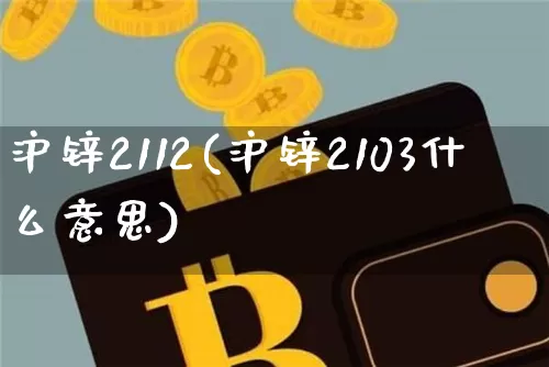 沪锌2112(沪锌2103什么意思)_https://www.qgjzrcxxzxpt.com_大商所_第1张