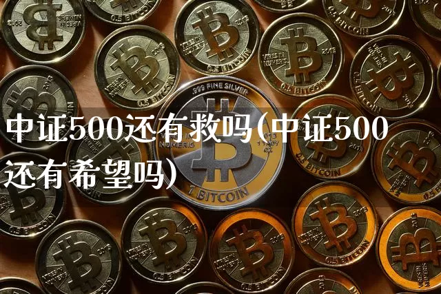 中证500还有救吗(中证500还有希望吗)_https://www.qgjzrcxxzxpt.com_上期所_第1张