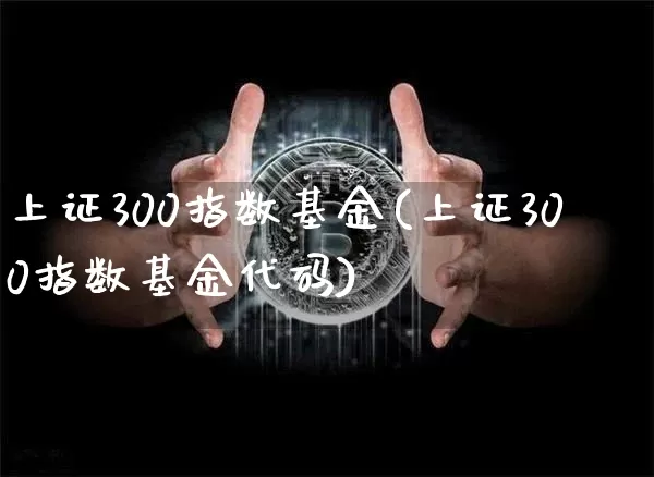 上证300指数基金(上证300指数基金代码)_https://www.qgjzrcxxzxpt.com_上期能源_第1张