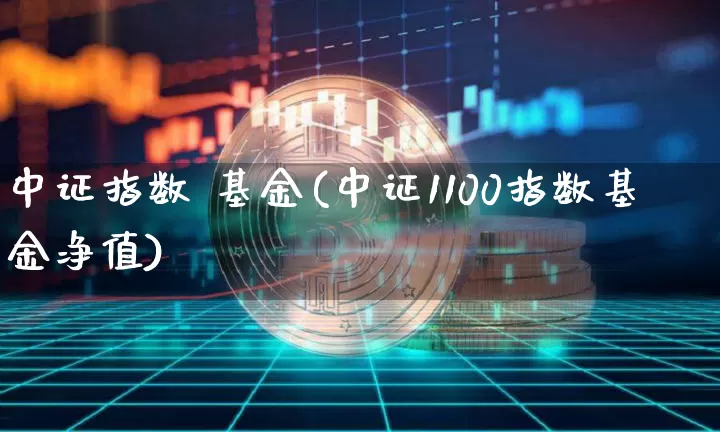 中证指数 基金(中证1100指数基金净值)_https://www.qgjzrcxxzxpt.com_广期所_第1张