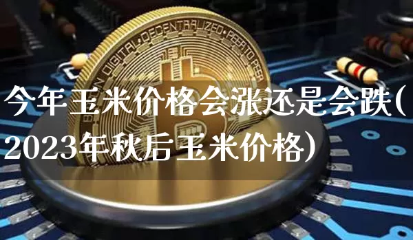 今年玉米价格会涨还是会跌(2023年秋后玉米价格)_https://www.qgjzrcxxzxpt.com_上期所_第1张