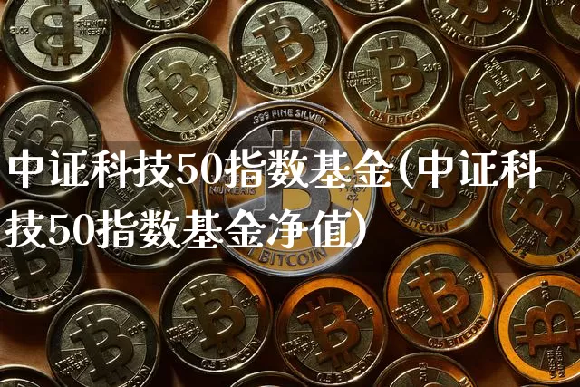 中证科技50指数基金(中证科技50指数基金净值)_https://www.qgjzrcxxzxpt.com_广期所_第1张