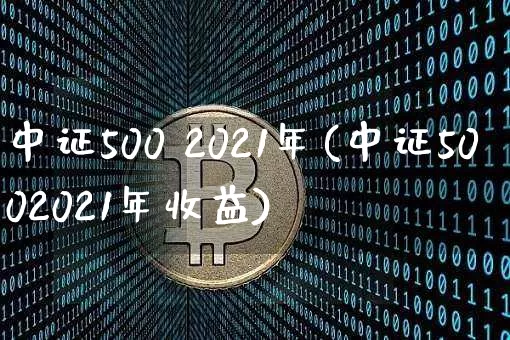 中证500 2021年(中证5002021年收益)_https://www.qgjzrcxxzxpt.com_广期所_第1张